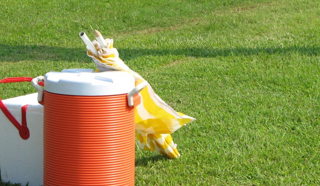 How to Choose the Best Coolers & Food Storage for Outdoor Fun